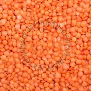 Red Masoor Dal