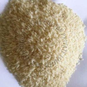 Short Grain Non Basmati Rice