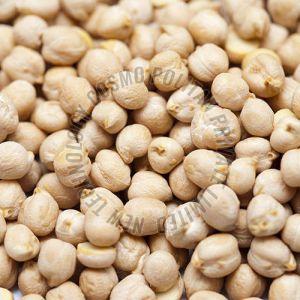 White Chickpeas