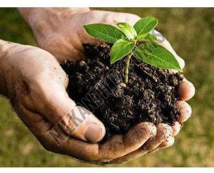 Fertilizer Grade Coal Powder