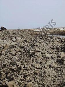 Unwashed Marine Gypsum