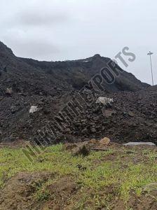Bhavnagar Lignite Coal