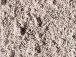 POP Gypsum Plaster Powder
