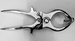 Burdizzo Castrator for Small Animals