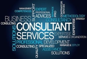 Consulting Services