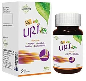 DR. Uri Uric Acid Ayurvedic Medicine Joint Pain Capsule
