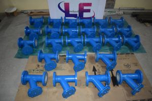 Y Type  Strainer