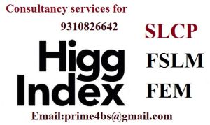 Slcp, Fslm, Higg Index Audit Consulting Services