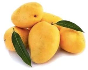 Fresh Mango