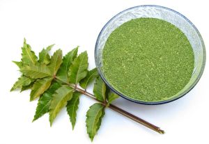 Organic Neem Powder