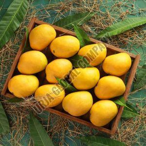 Fresh Alphonso Mango