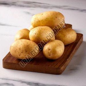 Fresh Brown Potato