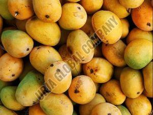 Fresh Hapus Mango