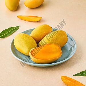 Fresh Kesar Mango