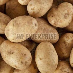 B Grade Potato