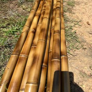 Bamboo Poles