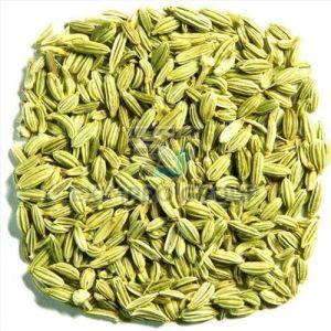 A Grade Fennel Seeds