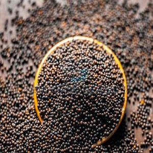 Black Mustard Seeds