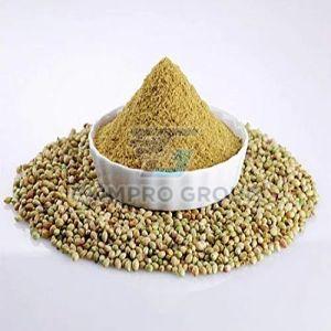 Coriander Powder