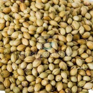 Coriander Seeds