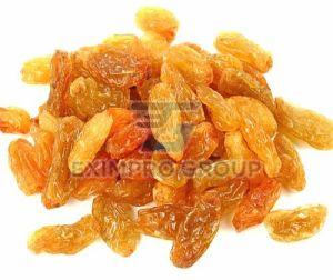 Golden Dried Raisins