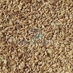 Premium Quality Ajwain Seeds