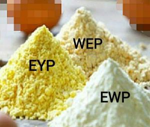 Egg Yolk Powder