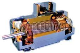 Electric AC Motors