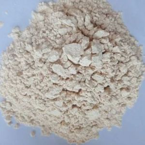 Babool Phali Powder