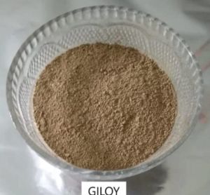 Giloy Powder