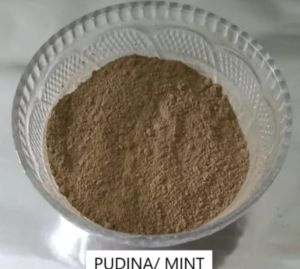 Pudina Powder