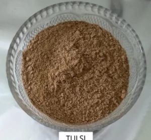 Tulsi Powder