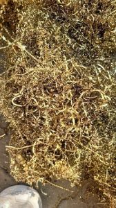 Brass Turning Scrap