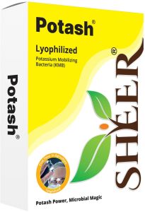250gm Potash Mobilizing Bio Fertilizer