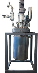 Pilot Scale Reactor Vessel