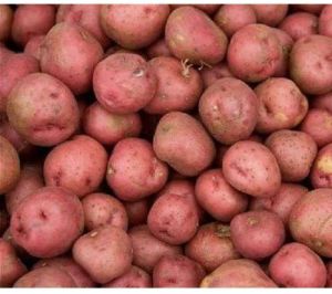 Fresh Lady Rosetta Potato