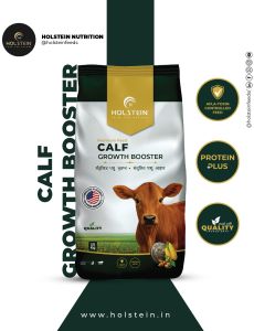 Holstein Calf Starter 25 Kg - Best Organic Calf Cattle Feeds 1