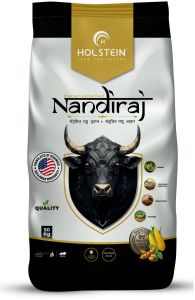 Bull Cattle Feed-  Holstein Bull Feeds Nandiraj - Strong Bulls, Better Semen Performance