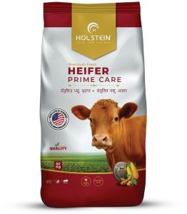 Holstein Heifer Prime Care Best Nutrition Feed