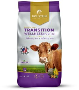 Holstein Transition Wellness (Post-20) Best Transition Cow Cattle Feed