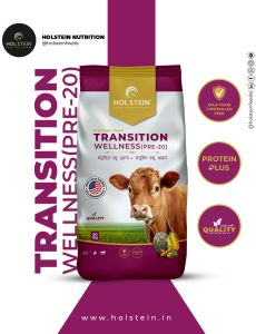 Holstein Transition Wellness (Pre-20) Premium Transition Cattle Feeds