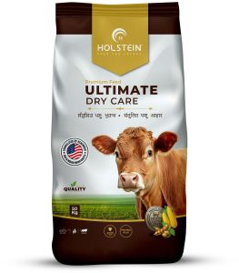 Holstein Ultimate Dry Care For Dry Cow Feed