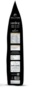 Bull Cattle Feed-  Holstein Bull Feeds Nandiraj - Strong Bulls, Better Semen Performance