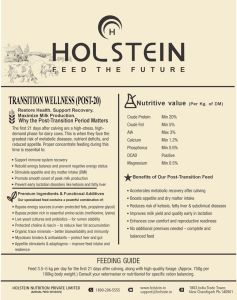Holstein Transition Wellness (Post-20) Best Transition Cow Cattle Feed