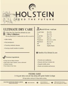 Holstein Ultimate Dry Care For Dry Cow