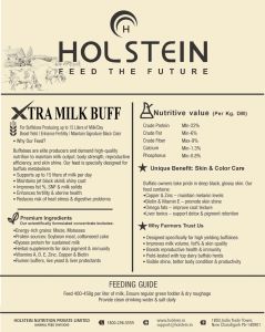 Holstein Xtra Milk Buff  Best Organic Buffalo Cattle Feed