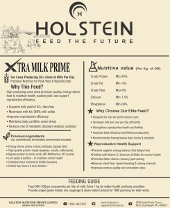 Holstein Xtra Milk Prime - Premium Cattle Feed For High Yield Cow