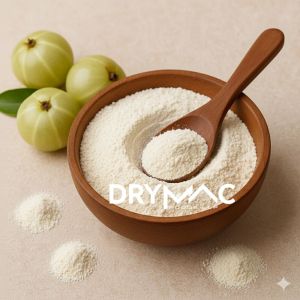 Spray Dried Amla Juice Powder