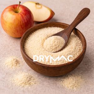 Spray Dried Apple Fruit Powder