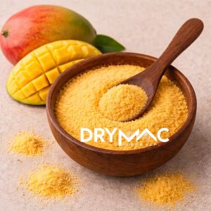 Spray Dried Alphonso Mango Powder